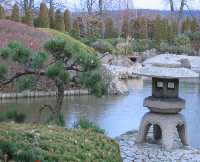 фото 3. Японский сад (Бонн,Рейнау).