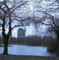 фото 2. Озеро, на заднем плане земельный парламент (Бонн,Рейнау).
